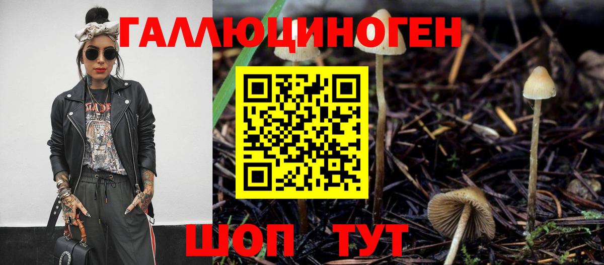Добрянка  Псилоцибиновые грибы Psilocybe  Вход с VPN 