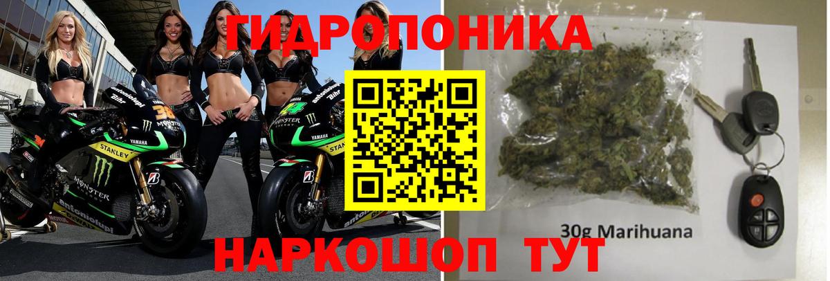 Бошки марихуана конопля Добрянка
